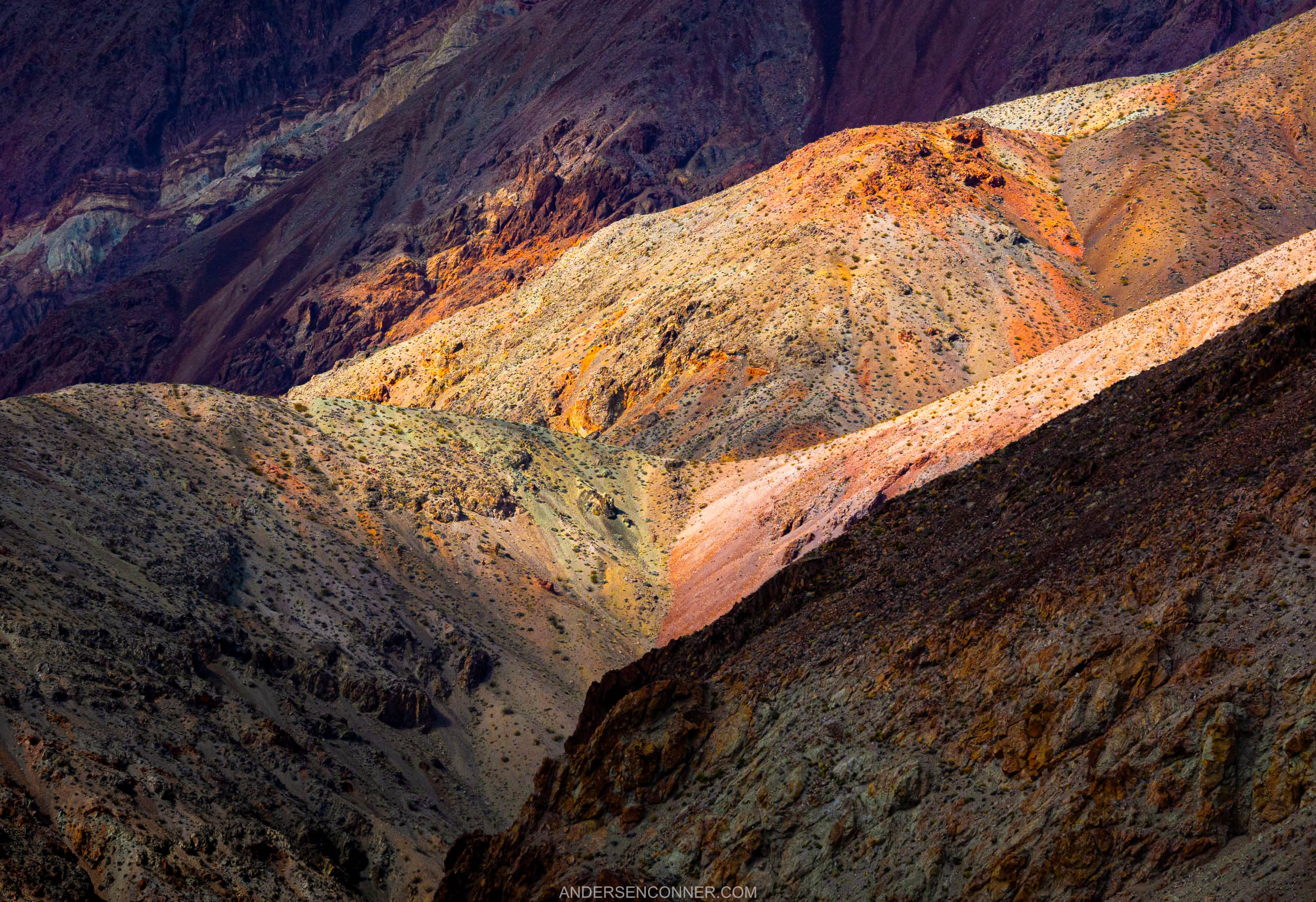 Neapolitan