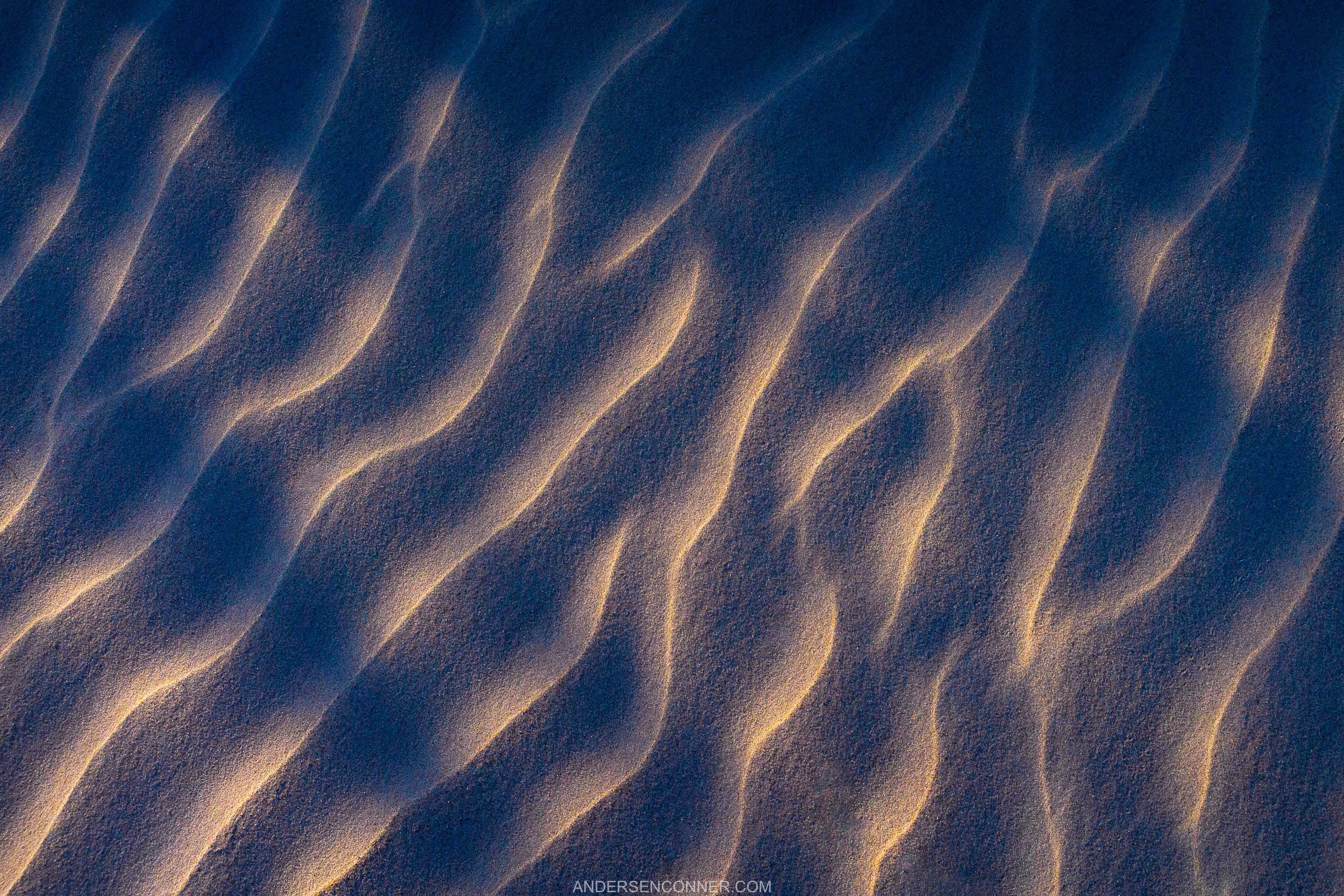 Dappled Dune