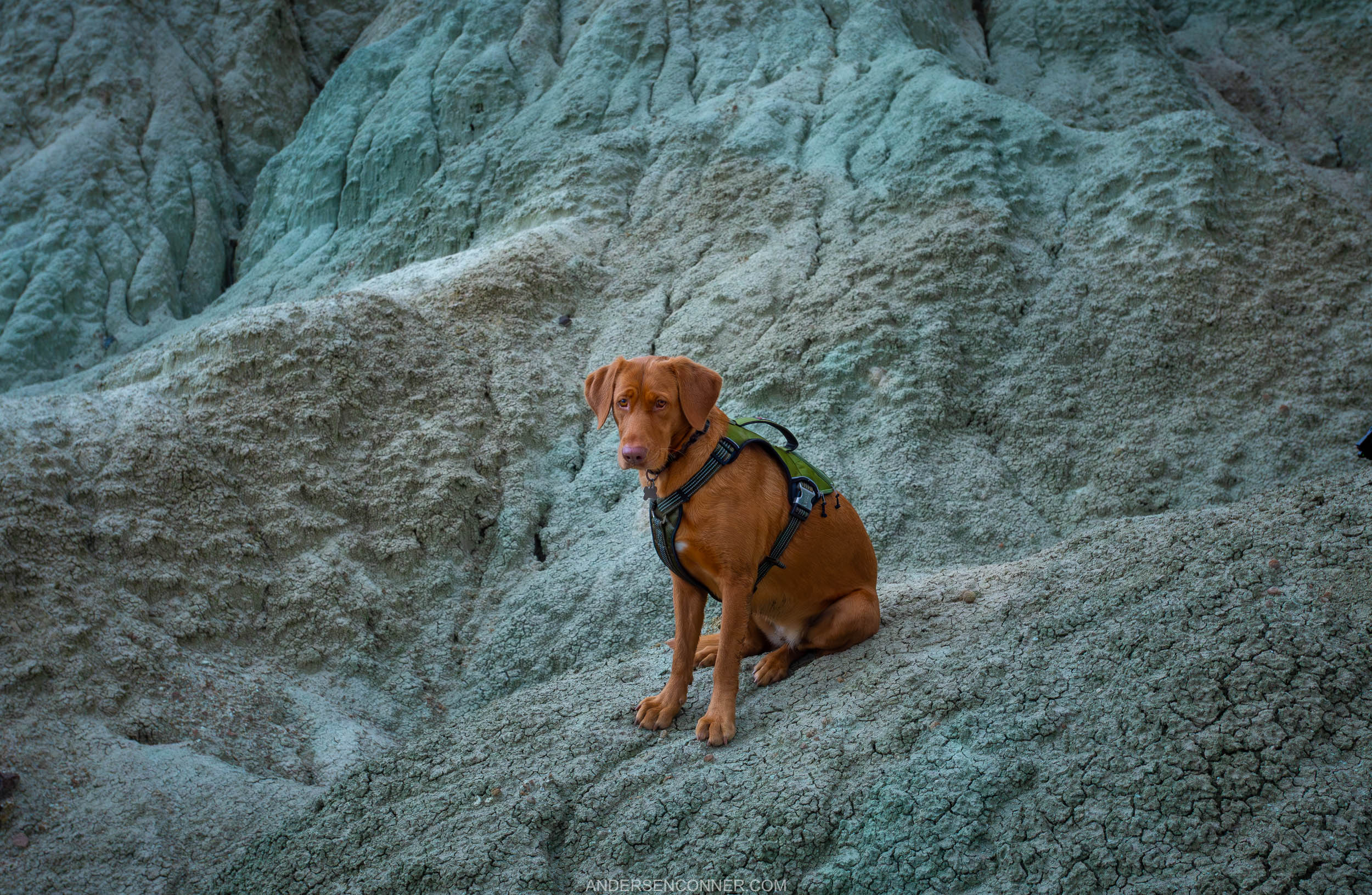 Land Before Dinner Time